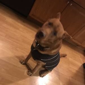 Meet your Posher, Moe